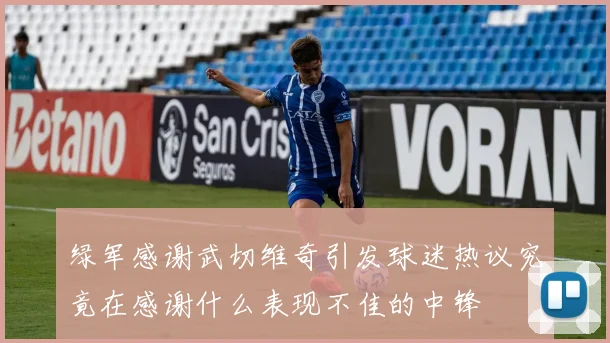绿军感谢武切维奇引发球迷热议究竟在感谢什么表现不佳的中锋