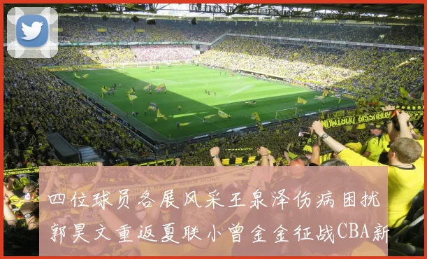 四位球员各展风采王泉泽伤病困扰郭昊文重返夏联小曾金金征战CBA新赛季